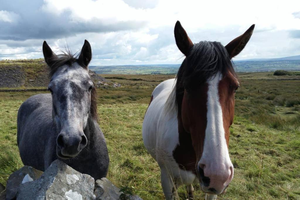 Red Stonecutters Cottage, Doolin Carrowauff エクステリア 写真