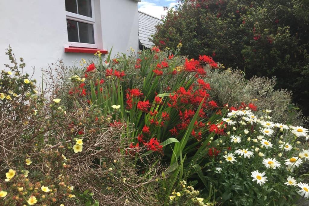 Red Stonecutters Cottage, Doolin Carrowauff エクステリア 写真